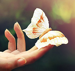 Бабочка на пальце
